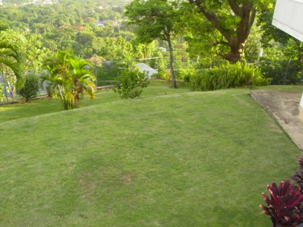Hill Top Kingston Jamaica Exteriér fotografie