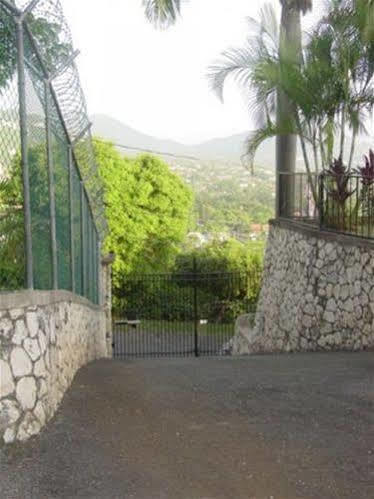 Hill Top Kingston Jamaica Exteriér fotografie
